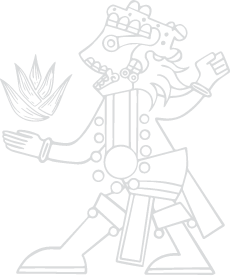 Brand Illustration